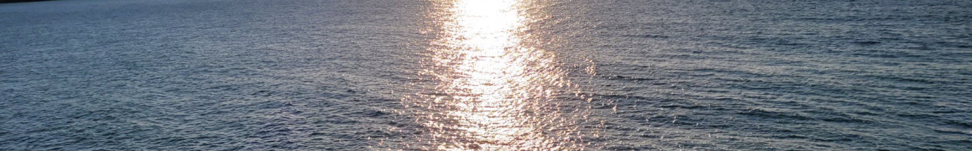 <div style='font-size:1.2em;line-height:65px'>﻿​취약계층 돌봄&amp; 교육 통합지원&nbsp;사회적협동조합 혼디</div>